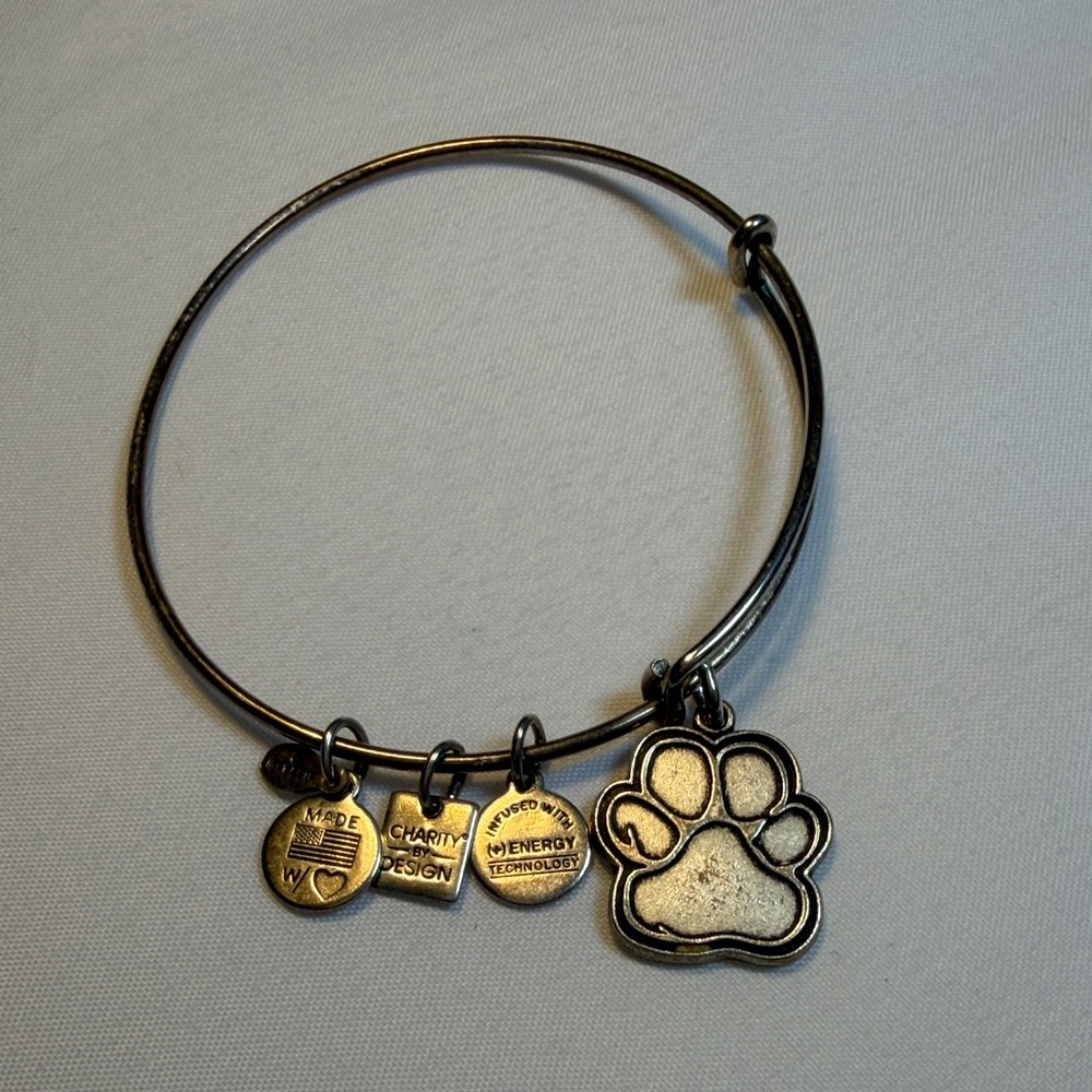 Alex and Ani Silver Charm Bracelet